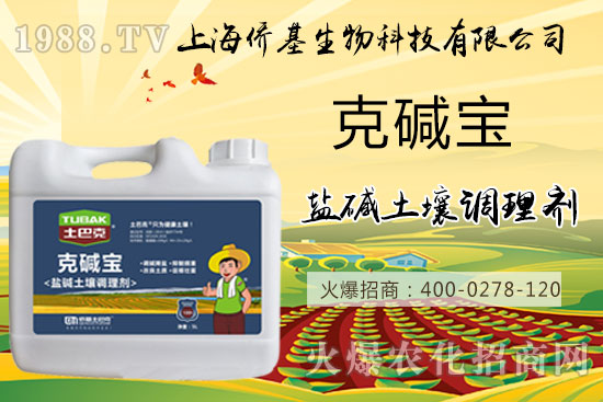 �����}�AΣ���������ˉA���������}�A��߀��һƬ������