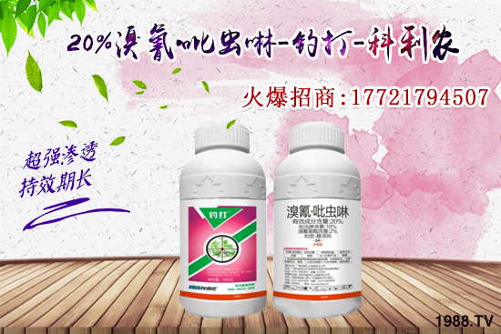 �������x���l(f��)̫���������x��ô��Ч���������x���η�������Щ��