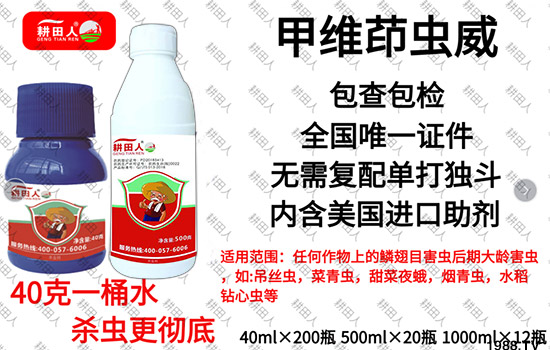 ����Ʒ�r(n��ng)ˎ�������¼Z�}������������ô�������x���a(ch��n)Ʒ����Щ��