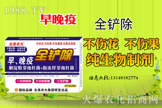 ������Σ�������������߷��δ�ʩ����Щ��