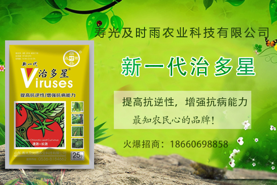 ���Ѳ�������֪���׷N�����Ӻ������η��Ѳ�������(��(n��i)�����η���) 