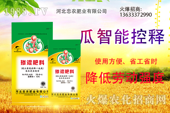 �������������Щ������ʵ�ʹ�÷�����ԓ����xُ��