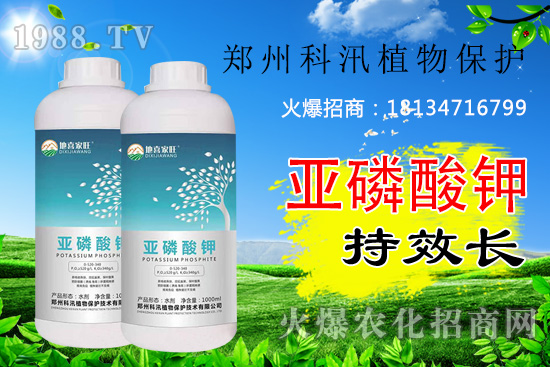 ������⛹�Ч�������C������Щ������������õĺ������