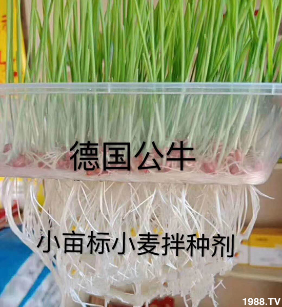 С����N�����a(ch��n)��С����N������x�أ�С����N��Ʒ���x����