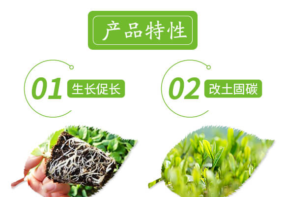 �VԴ�S�����-��ɫ����-���r(n��ng)˹�_(d��)_04