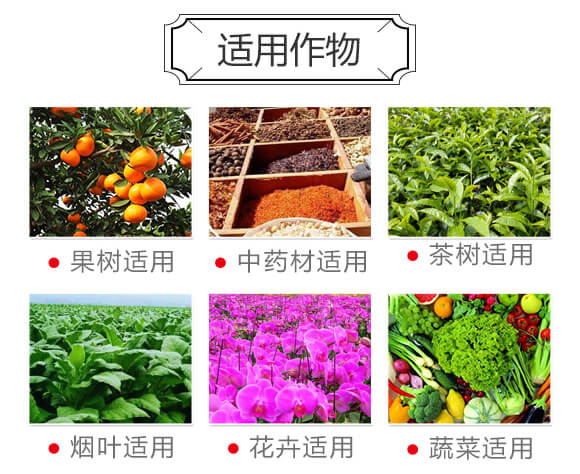 ����ͺϷ�15-10-15-Ψ��-�Ź��r(n��ng)�I(y��)_04