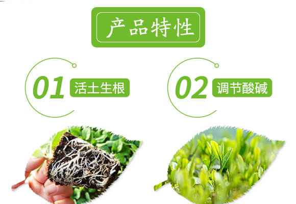 �����ޏ�(f��)��-����-��(��i)�r(n��ng)˹�_(d��)_04