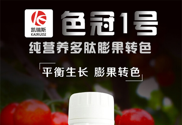 ���I�B(y��ng)��������D(zhu��n)ɫ-ɫ��1̖(h��o)-�P��˹_01