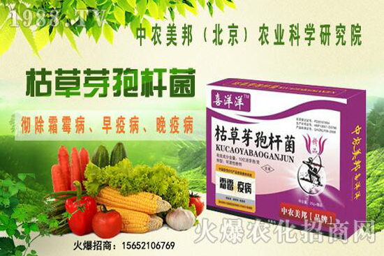 枯草芽孢桿菌治根腐病嗎,防治哪些土傳病害?防治對象有哪些?