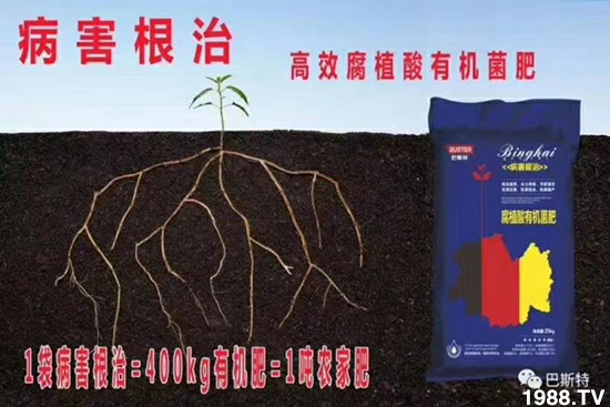     ���׌�Nֲ׃�ø��p�ɣ�һ���ײ���ȫ���䷽����˹�ش󽪠I�B(y��ng)�ײͷ�����