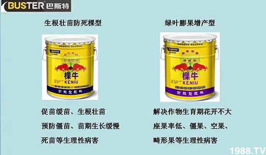     ���׌�Nֲ׃�ø��p�ɣ�һ���ײ���ȫ���䷽����˹�ش󽪠I�B(y��ng)�ײͷ�����