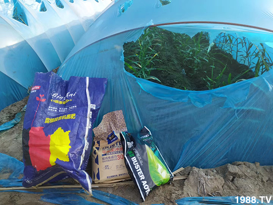     ���׌�Nֲ׃�ø��p����һ���ײͣ�ȫ���䷽����˹�ش󽪠I�B(y��ng)�ײͷ�����