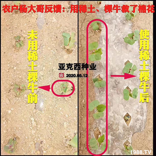     ���׌�Nֲ׃�ø��p����һ���ײͣ�ȫ���䷽����˹�ش󽪠I�B(y��ng)�ײͷ�����