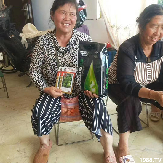     ���׌�Nֲ׃�ø��p����һ���ײ���ȫ���䷽����˹�ش󽪠I�B(y��ng)�ײͷ�����