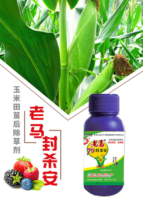 ���R70�⚢��-�����r(n��ng)�I(y��)_01