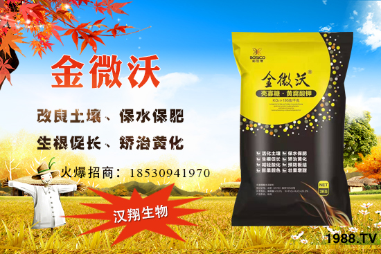 家中庭院可以種葡萄嗎？葡萄什么時(shí)候種？怎么種植？