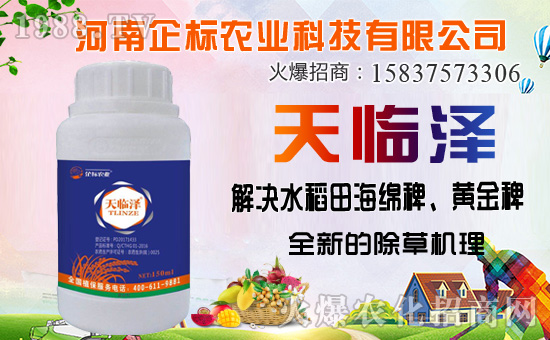 ������������ȷ�������������������݄��Ј�(ch��ng)ͻ��20�|��Ԫ