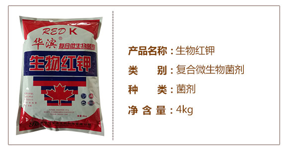 ����t�-��(f��)��΢�������-�A�I_03