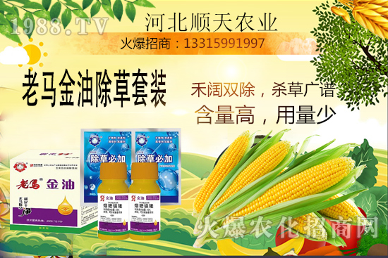 ����������������Ч�������׳����P�I�c��R����