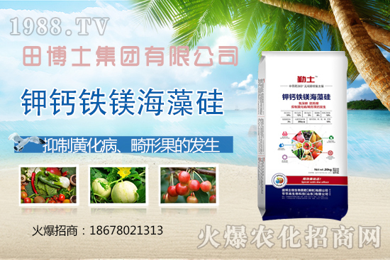 Խ�ķ��ѻ��ι����a(ch��n)���ϲ�ȥ�����η��ѻ��ι����@ЩҪ�I(l��ng)�����գ�