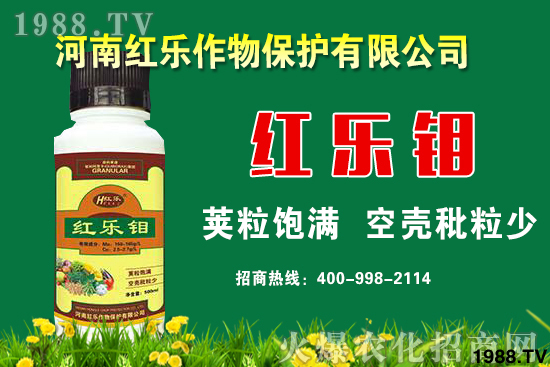 �t���f-�t��