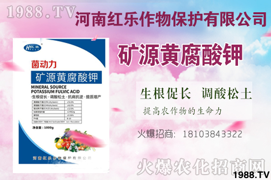 �VԴ�S�����