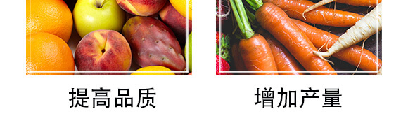 ���ɺ��塤�ЙC(j��)����-ِ����_07