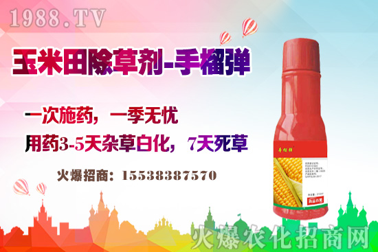 ������������v�������׳��݄��@�Ӵ������L(zh��ng)�s�ݲ�������