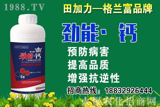 2020秋蘿卜什么時(shí)候種?秋蘿卜種植要注意哪些問(wèn)題?