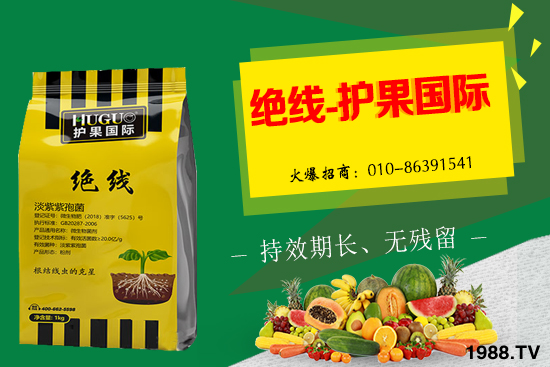 �޻���ʲôҪ�����������Щ��̎���޻�������g�������h��