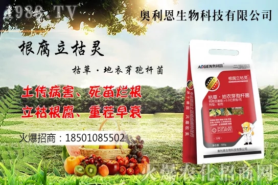 �S����ʲô����(ji��)�������S���˷Nֲ������B��