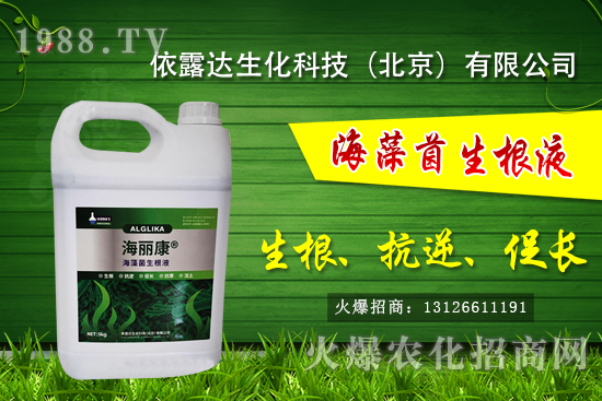 �J��������ЩƷ�N���J���Һ��殐����ʲô�^(q��)�e��