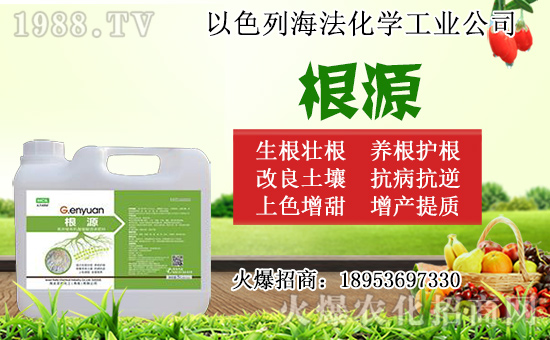 �o������ôǤ�����o����Ǥ��r(sh��)�g��Ǥ�己ֳ������