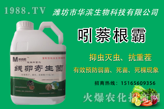 �o�����NֲʲôƷ�N�^�����o����Ƥ���ԳԆ᣿�Nֲǰ��������