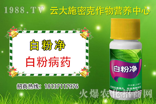 ʲô��ֲ��Դ�r(n��ng)ˎ��ֲ��Դ�r(n��ng)ˎ�c���W(xu��)�r(n��ng)ˎ�^(q��)�e������