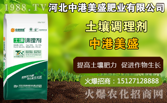 中藥太子參什么時間種植,太子參什么時候收獲更好(附種植技術)