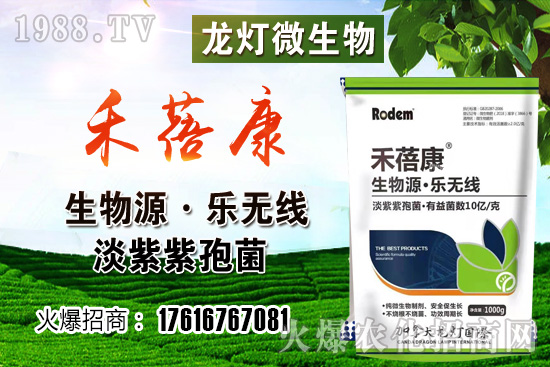 ���t���ڷ۷����������t��¶��ʹ���Nֲ�кβ�ͬ��