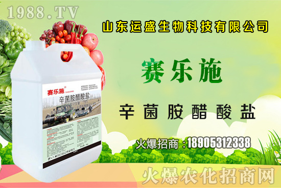 �����Ә�(sh��)���ڷ۷����������Ә�(sh��)��ζ�������