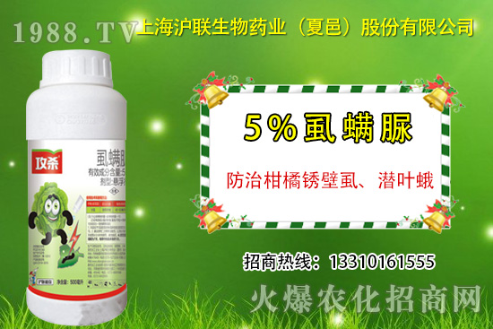 �����P��ʭ��ʲô�Y������ô�����������P��ʭ��ˎ���]