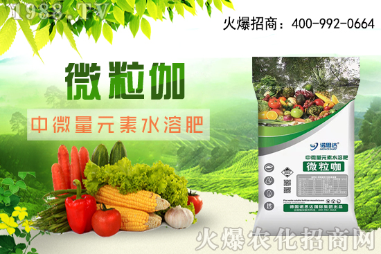 ����ԓ��ô��������������r�g������ע��Ҫ�c(di��n)��