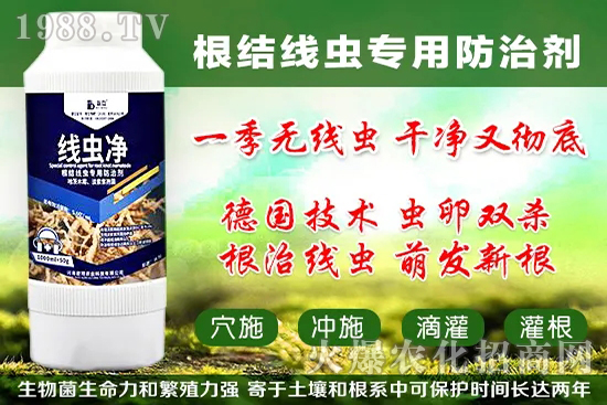 �������״���ʲô���ã��������״���������x����