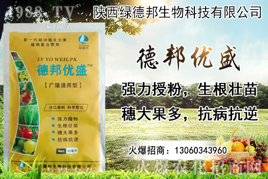 �����r(ji��)������X(qi��n)һ������Nֲ�ĭh(hu��n)�������x������