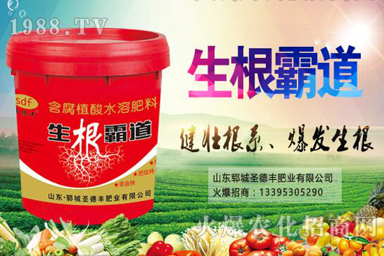 ������Nֲ����(ji��)��ʲô�r(sh��)����������Nֲ��������Щ��