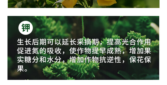 400g��������-Ӣ����_04