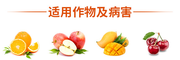 �ݲ�ѿ�ߗU��-һ����-Ӣ����_08