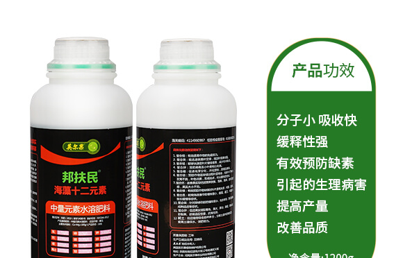 ����ʮ��Ԫ��-�����-Ӣ����_05