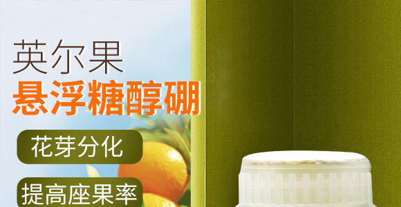 �Ҹ��Ǵ���-Ӣ����_01