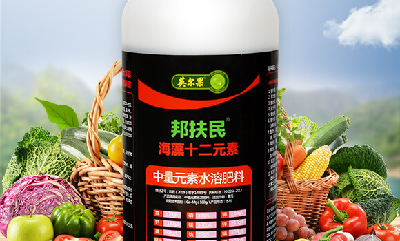 ����ʮ��Ԫ��-�����-Ӣ����_02