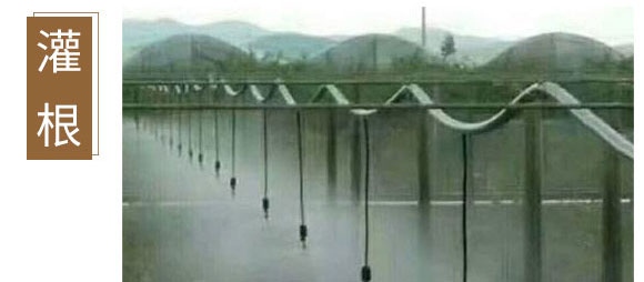 ����Ԫ��ˮ�ܷ�-��⏌�-Ӣ����_10