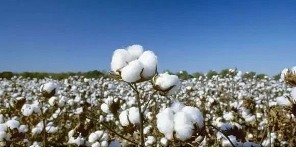 ����Ԫ��ˮ�ܷ�-��⏌�-Ӣ����_04